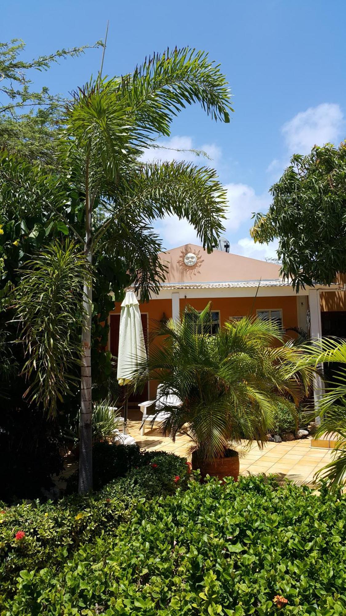 Brisas Studio Apartments (Adults Only) 팜비치 객실 사진